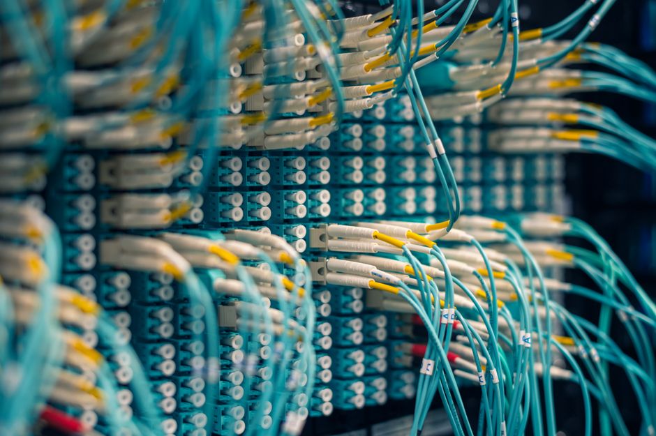 Closeup of rows of tiny round white electrical connectors and long thin blue wires in data center